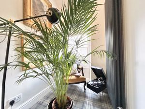 Photo 27- click for photo gallery